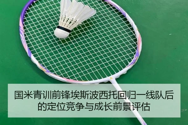 国米青训前锋埃斯波西托回归一线队后的定位竞争与成长前景评估